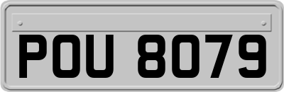 POU8079