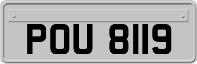 POU8119