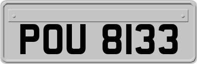 POU8133