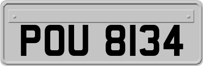 POU8134