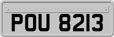 POU8213