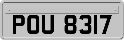 POU8317