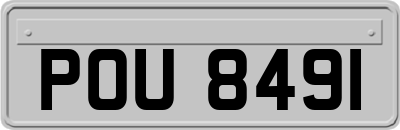 POU8491