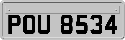 POU8534