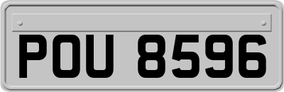 POU8596