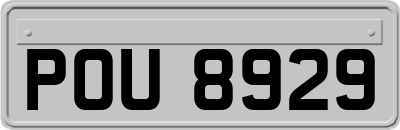 POU8929