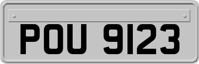 POU9123
