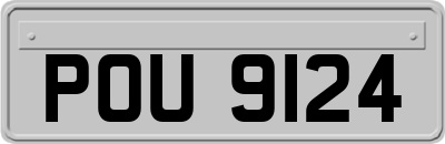 POU9124