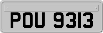 POU9313