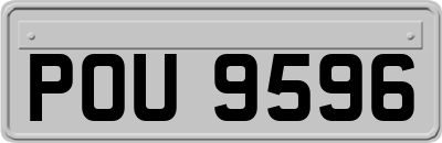 POU9596