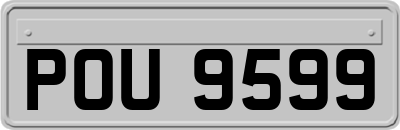 POU9599
