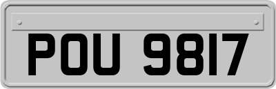 POU9817