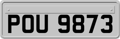 POU9873