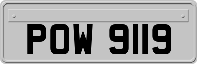 POW9119
