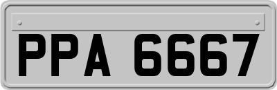 PPA6667