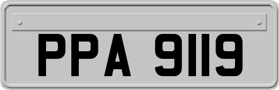 PPA9119