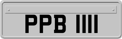 PPB1111