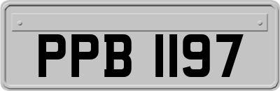 PPB1197
