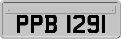 PPB1291