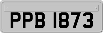 PPB1873