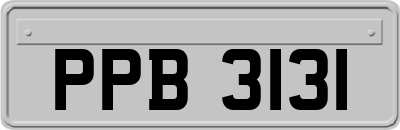 PPB3131