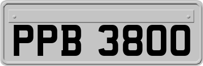 PPB3800