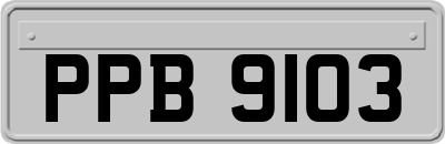 PPB9103