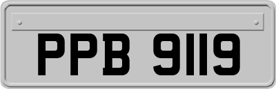 PPB9119