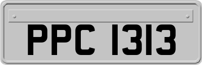 PPC1313