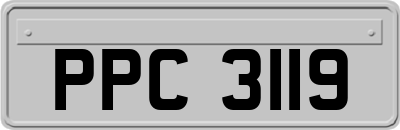 PPC3119