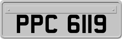 PPC6119