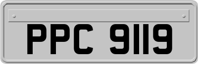 PPC9119