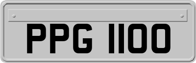 PPG1100