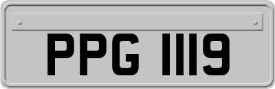 PPG1119