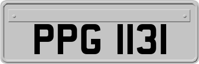 PPG1131