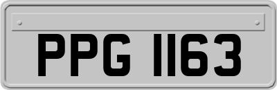PPG1163