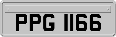 PPG1166