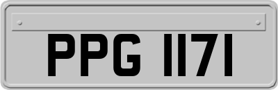 PPG1171
