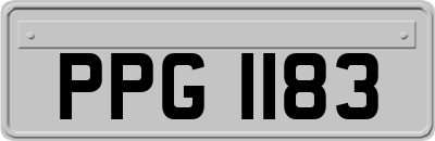 PPG1183