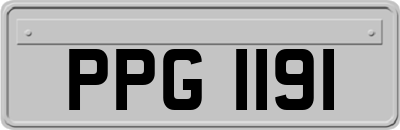 PPG1191