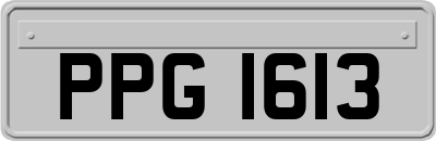 PPG1613