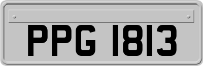 PPG1813