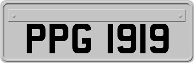 PPG1919