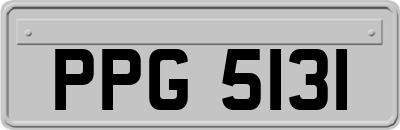 PPG5131