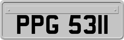 PPG5311