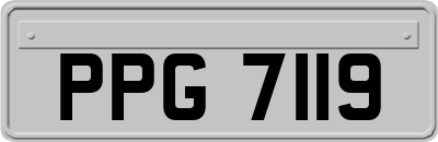 PPG7119