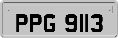 PPG9113