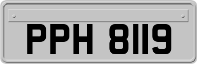 PPH8119