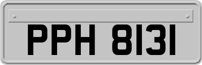 PPH8131