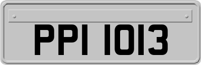 PPI1013